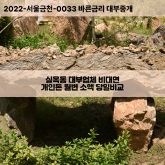 실옥동대부대출 실옥동비대면대출 충남아산시대부업체개인돈 실옥동월변대부업체 실옥동소액월변대출