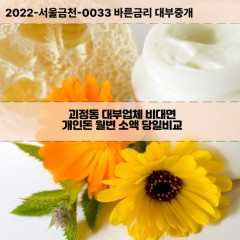 괴정동대부대출 괴정동비대면대출 부산사하구대부업체개인돈 괴정동월변대부업체 괴정동소액월변대출