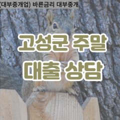 대가면대부업체 동해면비대면대출 고성군대부업체개인돈 마암면월변대부대출 삼산면소액대부업체