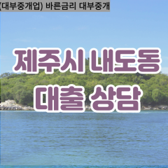 내도동대부업체 내도동비대면대출 제주시대부업체개인돈 내도동월변대부대출 내도동소액대부업체