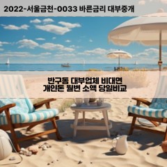 반구동대부대출 반구동비대면대출 울산중구대부업체개인돈 반구동월변대부업체 반구동소액월변대출