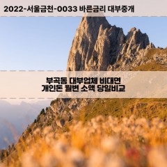 부곡동대부대출 부곡동비대면대출 울산남구대부업체개인돈 부곡동월변대부업체 부곡동소액월변대출