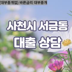 서금동대부업체 서금동비대면대출 사천시대부업체개인돈 서금동월변대부대출 서금동소액대부업체