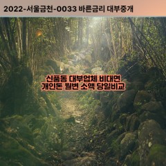 신풍동대부대출 신풍동비대면대출 수원팔달구대부업체개인돈 신풍동월변대부업체 신풍동소액월변대출