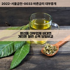 영선동대부대출 영선동1가비대면대출 부산영도구대부업체개인돈 영선동2가월변대부업체 영선동3가소액월변대출