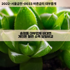 송정동대부대출 송정동비대면대출 부산해운대구대부업체개인돈 송정동월변대부업체 송정동소액월변대출