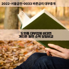 도화동대부대출 도화동비대면대출 미추홀구대부업체개인돈 도화동월변대부업체 도화동소액월변대출