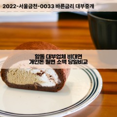 항동1가대부대출 항동2가비대면대출 인천중구대부업체개인돈 항동3가월변대부업체 항동4가소액월변대출