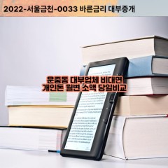 운중동대부대출 운중동비대면대출 성남시분당구대부업체개인돈 운중동월변대부업체 운중동소액월변대출