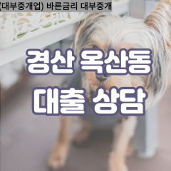 옥산동대부대출 옥산동비대면대출 경산시대부업체 옥산동급전대출개인돈 옥산동소액월변대출