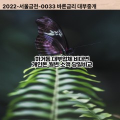 하거동대부대출 하거동비대면대출 여주시대부업체 하거동급전대출개인돈 하거동소액월변대출