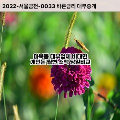 마북동대부대출 마북동비대면대출 용인시기흥구대부업체 마북동급전대출개인돈 마북동소액월변대출