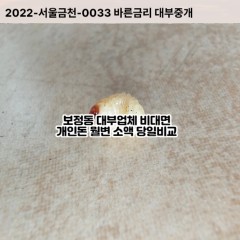 보정동대부대출 보정동비대면대출 용인시기흥구대부업체 보정동급전대출개인돈 보정동소액월변대출