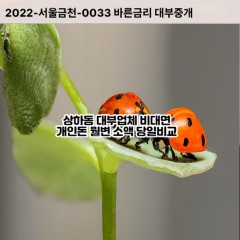 상하동대부대출 상하동비대면대출 용인시기흥구대부업체 상하동급전대출개인돈 상하동소액월변대출