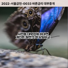 서천동대부대출 서천동비대면대출 용인시기흥구대부업체 서천동급전대출개인돈 서천동소액월변대출