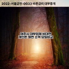 북내면대부대출 산북면비대면대출 여주시흥천면대부업체 세종대왕면급전대출개인돈 점동면소액월변대출