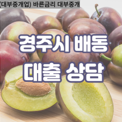 배동대부대출 배동비대면대출 경주시대부업체 배동급전대출개인돈 배동소액월변대출