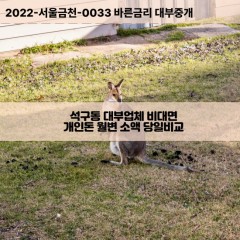 석구동대부대출 석구동비대면대출 전주시완산구대부업체 석구동급전대출개인돈 석구동소액월변대출