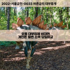 호동대부대출 호동비대면대출 대전중구대부업체 호동급전대출개인돈 호동소액월변대출