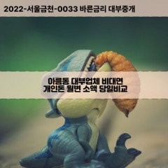 아름동대부대출 아름동비대면대출 세종시대부업체 아름동급전대출개인돈 아름동소액월변대출