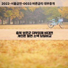 삼승면대부대출 속리산면면비대면대출 충북보은군대부업체 수한면급전대출개인돈 장안면소액월변대출