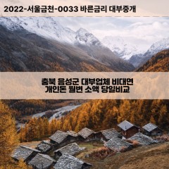 삼성면대부대출 생극면비대면대출 충북음성군대부업체 소이면급전대출개인돈 원남면소액월변대출