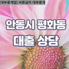 평화동대부대출 평화동비대면대출 안동시대부업체 평화동급전대출개인돈 평화동소액월변대출