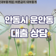 운안동대부대출 운안동비대면대출 안동시대부업체 운안동급전대출개인돈 운안동소액월변대출