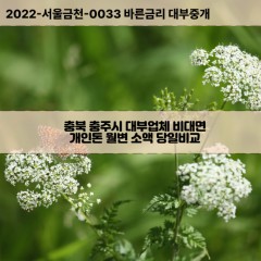 산척면대부대출 살미면비대면대출 충북충주시대부업체 소태면면급전대출개인돈 수안보면소액월변대출