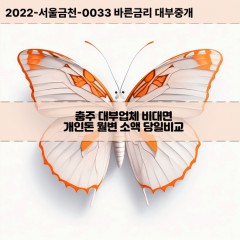 충청북도대부대출 충주시비대면대출 충북충주시대부업체 충북급전대출개인돈 중앙탑면소액월변대출