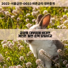 금광동대부대출 금광동비대면대출 전북군산시대부업체 금광동급전대출개인돈 금광동소액월변대출