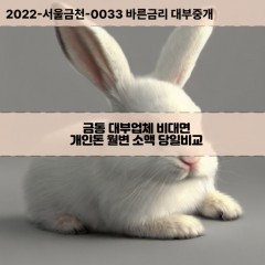 금동대부대출 금동비대면대출 전북군산시대부업체 금동급전대출개인돈 금동소액월변대출