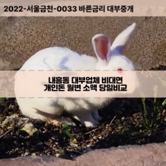 내흥동대부대출 내흥동비대면대출 전북군산시대부업체 내흥동급전대출개인돈 내흥동소액월변대출