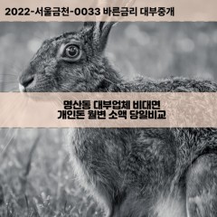 명산동대부대출 명산동비대면대출 전북군산시대부업체 명산동급전대출개인돈 명산동소액월변대출