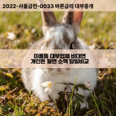 미룡동대부대출 미룡동비대면대출 전북군산시대부업체 미룡동급전대출개인돈 미룡동소액월변대출