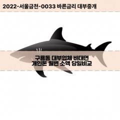 구룡동대부대출 구룡동비대면대출 전북정읍시대부업체 구룡동급전대출개인돈 구룡동소액월변대출