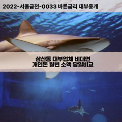 삼산동대부대출 삼산동비대면대출 전북정읍시대부업체 삼산동급전대출개인돈 삼산동소액월변대출