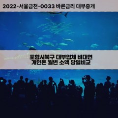 기계면대부대출 기북면비대면대출 포항시북구대부업체 동빈1가급전대출개인돈 흥해읍소액월변대출