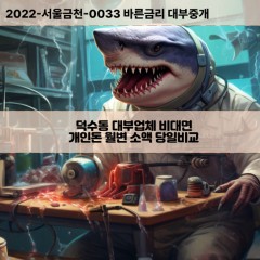 덕수동대부대출 덕수동비대면대출 포항시북구대부업체 덕수동급전대출개인돈 덕수동소액월변대출