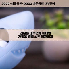 신흥동대부대출 신흥동비대면대출 포항시북구대부업체 신흥동급전대출개인돈 신흥동소액월변대출