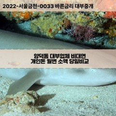 약덕동대부대출 약덕동비대면대출 포항시북구대부업체 약덕동급전대출개인돈 약덕동소액월변대출