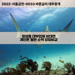 장성동대부대출 장성동비대면대출 포항시북구대부업체 장성동급전대출개인돈 장성동소액월변대출