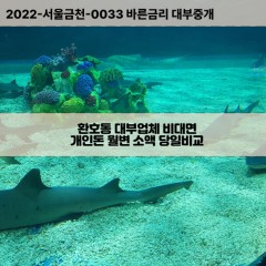 환호동대부대출 환호동비대면대출 포항시북구대부업체 환호동급전대출개인돈 환호동소액월변대출