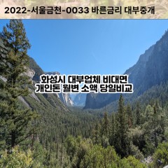 비봉면대부대출 서신면비대면대출 화성시대부업체 송산면급전대출개인돈 양감면소액월변대출