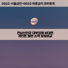 도초면대부대출 비금면비대면대출 전남신안군대부업체 신의면급전대출개인돈 안좌면소액월변대출