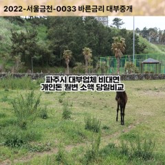 파평면대부대출 진서면비대면대출 파주시대부업체 탄현면급전대출개인돈 파주읍소액월변대출