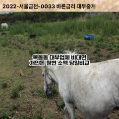 목동동대부대출 목동동비대면대출 파주시대부업체 목동동급전대출개인돈 목동동소액월변대출