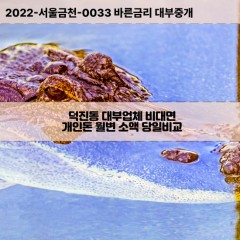 덕진동대부대출 덕진동비대면대출 대전시유성구대부업체 덕진동급전대출개인돈 덕진동소액월변대출