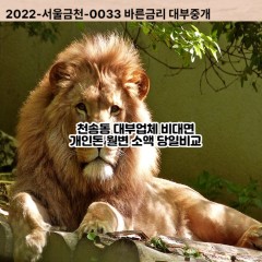 천송동대부대출 천송동비대면대출 여주시대부업체 천송동급전대출개인돈 천송동소액월변대출