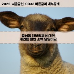 죽성동대부대출 죽성동비대면대출 전북군산시대부업체 죽성동급전대출개인돈 죽성동소액월변대출